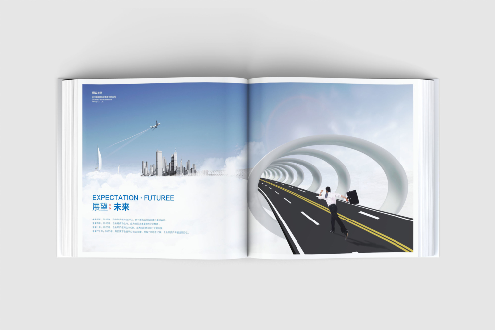 山亭区画册设计